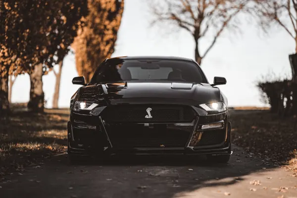 OG Casino Android/iOS App